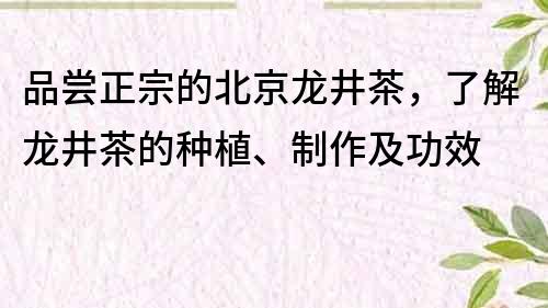 品嘗正宗的北京龍井茶，了解龍井茶的種植、制作及功效