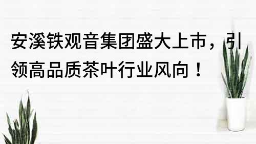 安溪鐵觀音集團盛大上市，引領高品質茶葉行業風向！