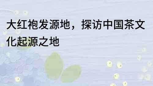 大紅袍發源地，探訪中國茶文化起源之地
