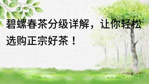 碧螺春茶分級詳解，讓你輕松選購正宗好茶！
