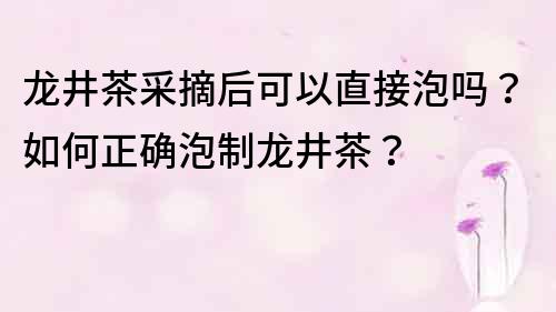 龍井茶采摘后可以直接泡嗎？如何正確泡制龍井茶？