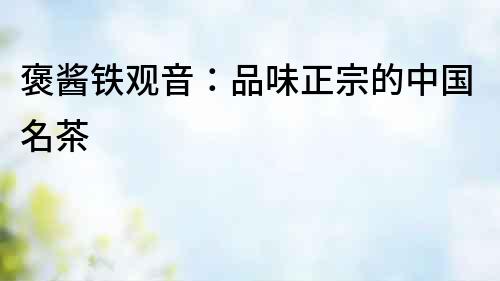 褒醬鐵觀音：品味正宗的中國名茶