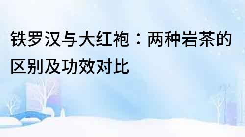 鐵羅漢與大紅袍：兩種巖茶的區別及功效對比