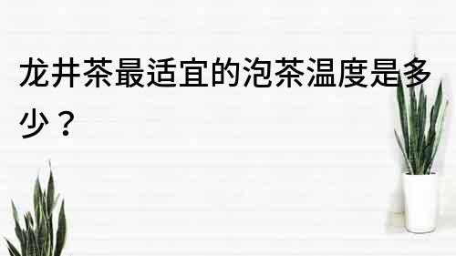 龍井茶最適宜的泡茶溫度是多少？