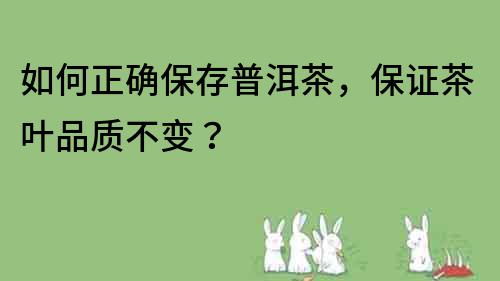 如何正確保存普洱茶，保證茶葉品質(zhì)不變？