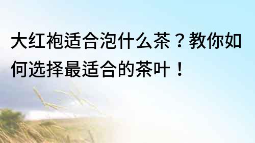 大紅袍適合泡什么茶？教你如何選擇最適合的茶葉！