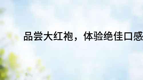 品嘗大紅袍，體驗絕佳口感！