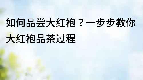 如何品嘗大紅袍？一步步教你大紅袍品茶過程