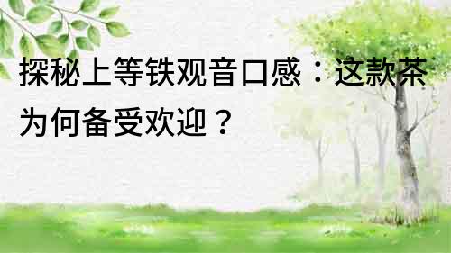 探秘上等鐵觀音口感：這款茶為何備受歡迎？
