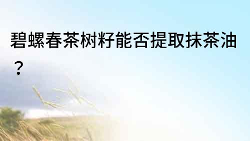 碧螺春茶樹(shù)籽能否提取抹茶油？