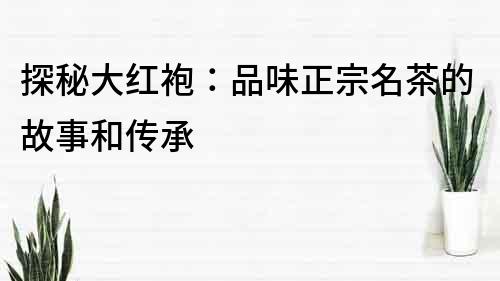 探秘大紅袍：品味正宗名茶的故事和傳承
