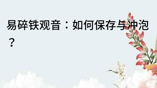 易碎鐵觀音：如何保存與沖泡？