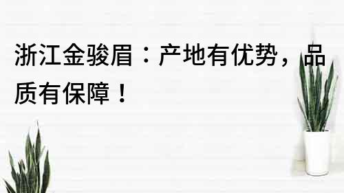 浙江金駿眉：產(chǎn)地有優(yōu)勢(shì)，品質(zhì)有保障！