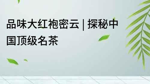 品味大紅袍密云 | 探秘中國(guó)頂級(jí)名茶