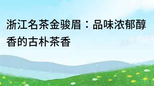 浙江名茶金駿眉：品味濃郁醇香的古樸茶香