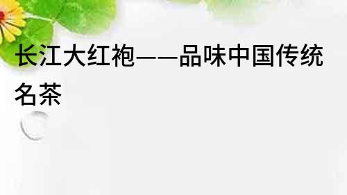 長江大紅袍——品味中國傳統名茶