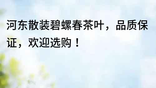 河東散裝碧螺春茶葉，品質保證，歡迎選購！