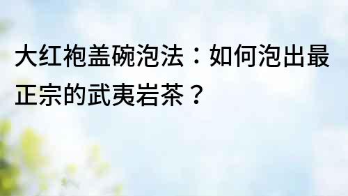 大紅袍蓋碗泡法：如何泡出最正宗的武夷巖茶？