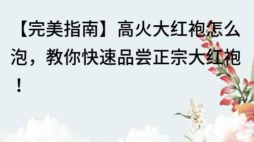 【完美指南】高火大紅袍怎么泡，教你快速品嘗正宗大紅袍！