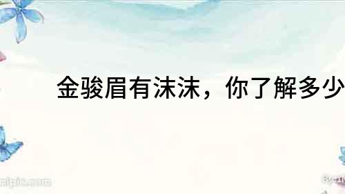 金駿眉有沫沫，你了解多少？