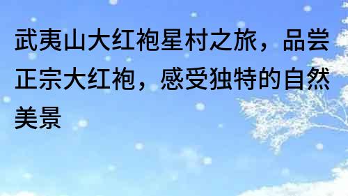 武夷山大紅袍星村之旅，品嘗正宗大紅袍，感受獨特的自然美景