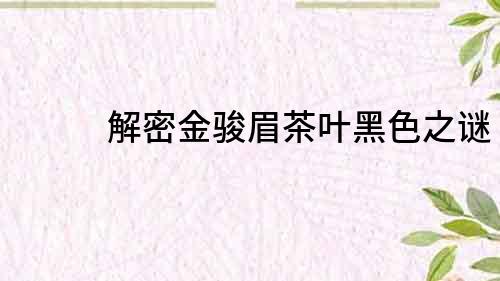 解密金駿眉茶葉黑色之謎