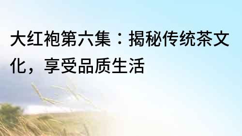 大紅袍第六集：揭秘傳統(tǒng)茶文化，享受品質(zhì)生活