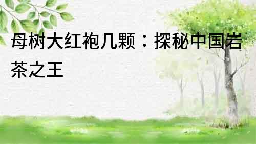 母樹大紅袍幾顆：探秘中國巖茶之王