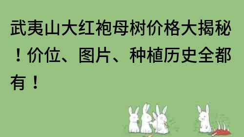 武夷山大紅袍母樹價格大揭秘！價位、圖片、種植歷史全都有！
