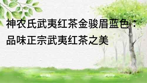 神農氏武夷紅茶金駿眉藍色：品味正宗武夷紅茶之美