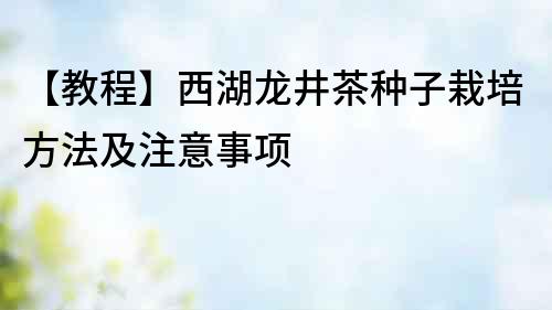 【教程】西湖龍井茶種子栽培方法及注意事項