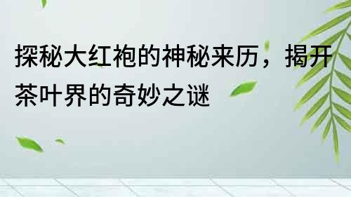 探秘大紅袍的神秘來歷，揭開茶葉界的奇妙之謎