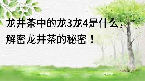 龍井茶中的龍3龍4是什么，解密龍井茶的秘密！
