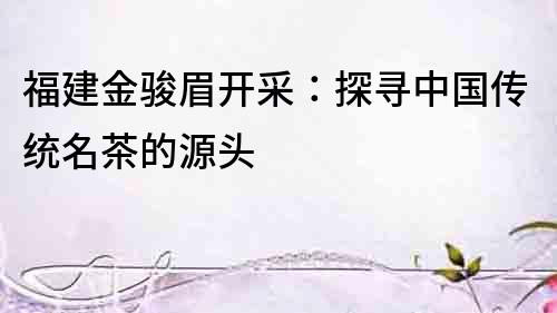福建金駿眉開采：探尋中國傳統(tǒng)名茶的源頭