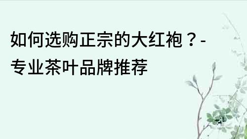 如何選購正宗的大紅袍？- 專業(yè)茶葉品牌推薦