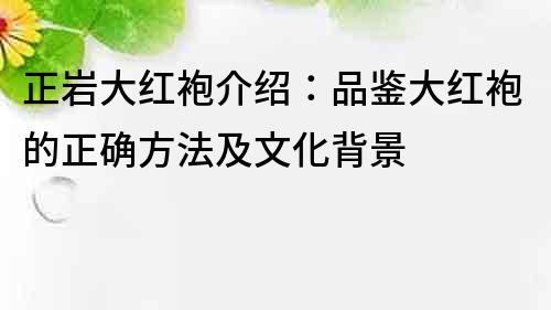 正巖大紅袍介紹：品鑒大紅袍的正確方法及文化背景