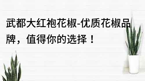 武都大紅袍花椒-優(yōu)質(zhì)花椒品牌，值得你的選擇！