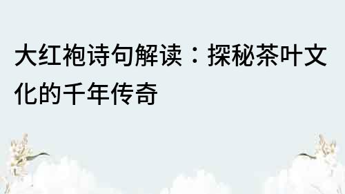 大紅袍詩句解讀：探秘茶葉文化的千年傳奇