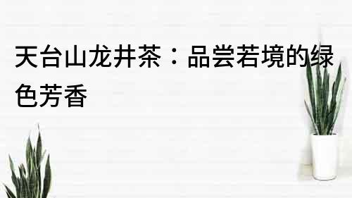 天臺(tái)山龍井茶：品嘗若境的綠色芳香