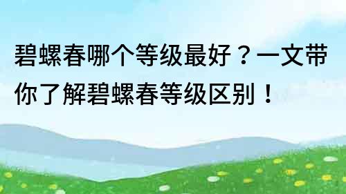 碧螺春哪個等級最好？一文帶你了解碧螺春等級區別！