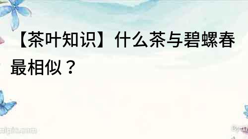 【茶葉知識】什么茶與碧螺春最相似？