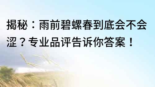 揭秘：雨前碧螺春到底會不會澀？專業品評告訴你答案！