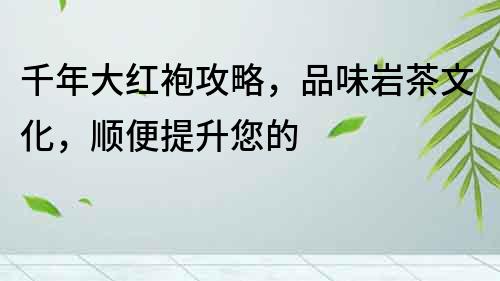 千年大紅袍攻略，品味巖茶文化，順便提升您的