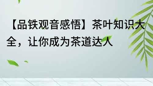 【品鐵觀音感悟】茶葉知識大全，讓你成為茶道達人