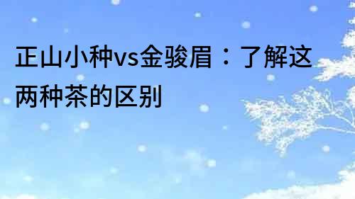 正山小種vs金駿眉：了解這兩種茶的區別