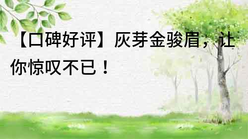 【口碑好評】灰芽金駿眉，讓你驚嘆不已！