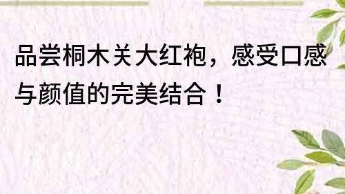 品嘗桐木關(guān)大紅袍，感受口感與顏值的完美結(jié)合！