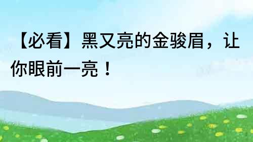 【必看】黑又亮的金駿眉，讓你眼前一亮！