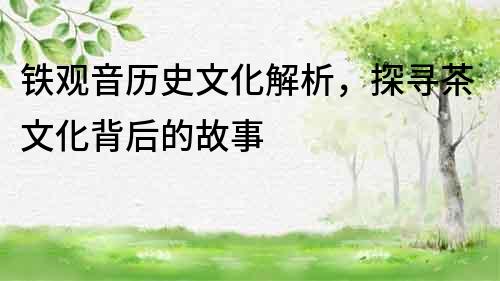 鐵觀音歷史文化解析，探尋茶文化背后的故事