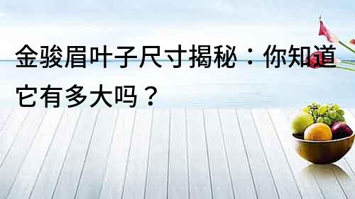 金駿眉葉子尺寸揭秘：你知道它有多大嗎？